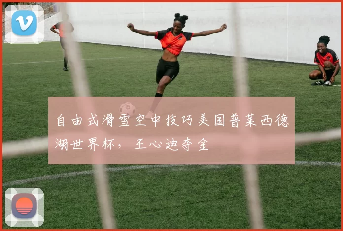 自由式滑雪空中技巧美国普莱西德湖世界杯，王心迪夺金